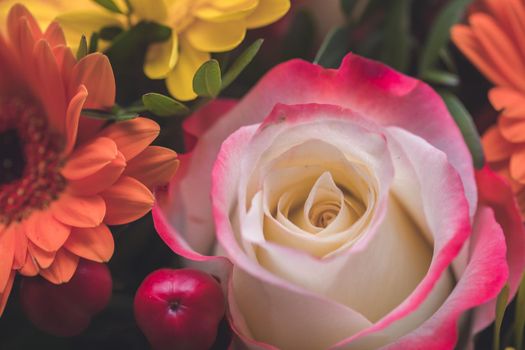 Close up of tender pink rose in a floral bouquet