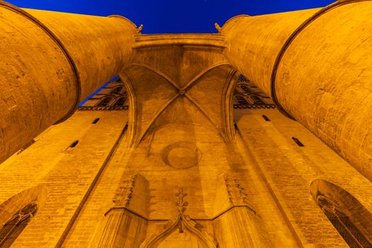 Montpellier Cathedral at night. Montpellier, Occitanie, France.