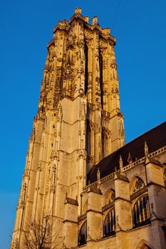 Saint Rumbold's Cathedral in Mechelen. Mechelen, Flemish Region, Belgium