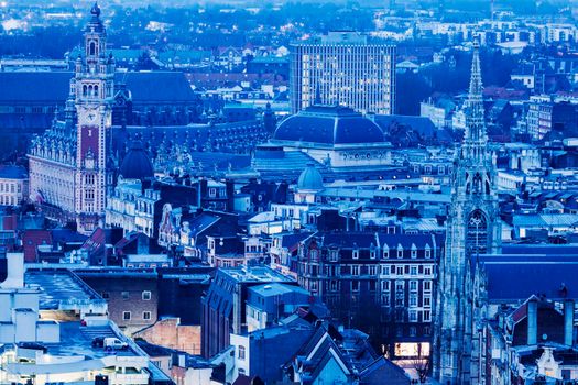 Aerial view of Lille. Lille, Nord-Pas-de-Calais, France