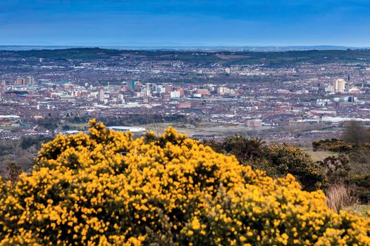 Aerial panorama of Belfast. Belfast, Northern Ireland, United Kingdom.