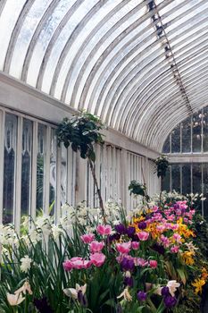 Palm House in Belfast. Belfast, Northern Ireland, United Kingdom.