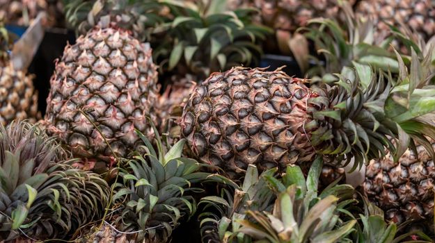 pineapple background, a bunch of pineapples