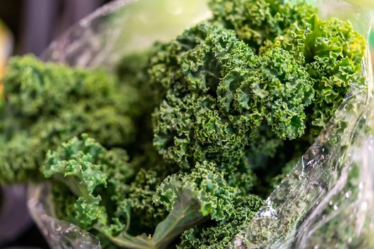 kale salad leaves close up with water drops background. organic kale, also known as green cabbage