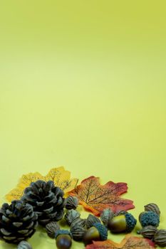 Pine cone, autumns leaves and seeds on yellow background. Autumn Thanksgiving Background with copy space