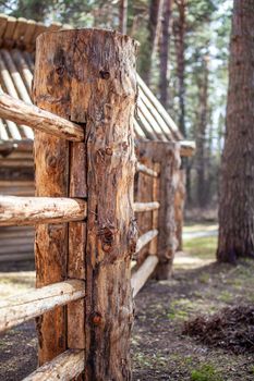 Large wooden fence posts that enclose an old wooden house in the forest. How people built houses and fences in the past. Ecological construction and materials.