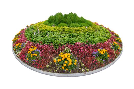 Round flower bed on a white background.