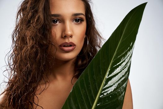 Crop of attractive young female model standing and looking aside isolated on white. Portrait of naked woman with perfect makeup and curly hair posing and holding green leaf. Beauty, nature concept.