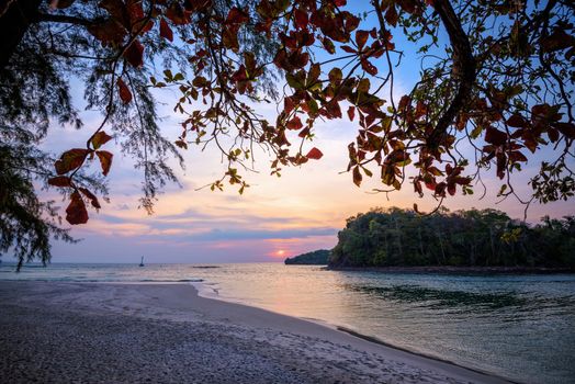 Beautiful nature landscape of colorful the sun on the sky at Tarutao island beach during the sunset over the Andaman Sea under the tree shadow, Tarutao National Park, Satun, Thailand