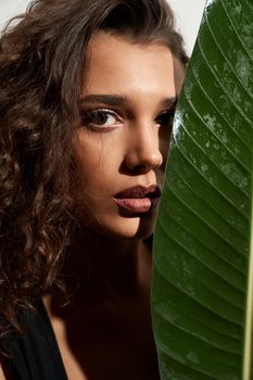 Portrait of young stylish woman with perfect makeup posing, hiding half of face behind green leaf. Close up of beautiful female model standing and looking at camera isolated on white. Beauty concept.