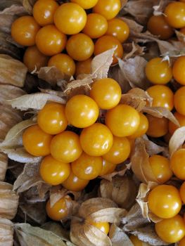 Aguaymanto, peruvian Juicy Cape Gooseberries