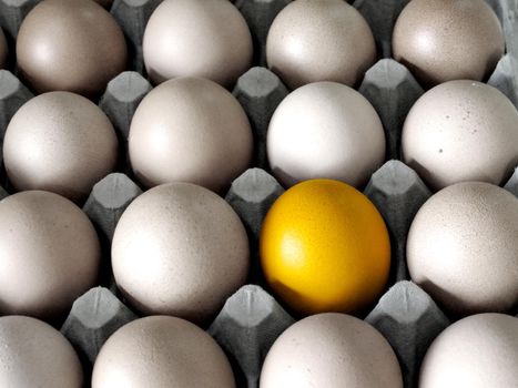 Close up of golden egg in cardboard container