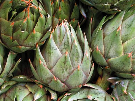 Fresh Artichokes