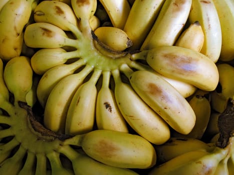 Bunch Of Ripe Bananas