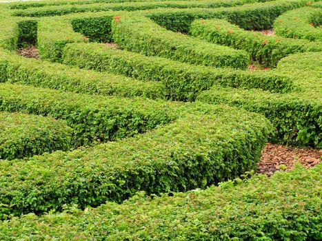 Abstract background with cutting green plants