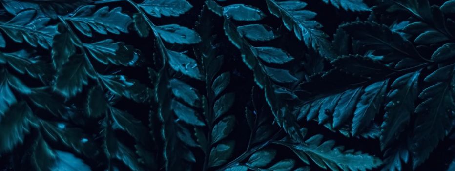 Blue plant leaves at night as surreal botanical background, minimal design backdrop