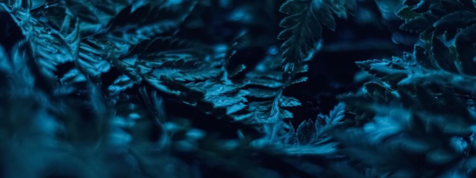 Blue plant leaves at night as surreal botanical background, minimal design backdrop