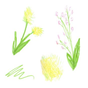 Set of Dandelion Design Pastel Drawn Bright Floral Pattern with Colorful Leaves and Blooming Flowers on White Background.