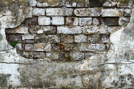 Aged bricks are exposed beneath plaster that has cracked and weathered away