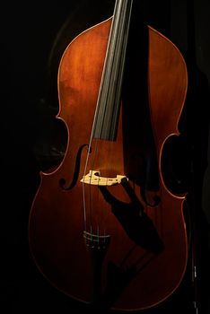 Close-up of a cello, against a black background, Single object only, warm light, front view