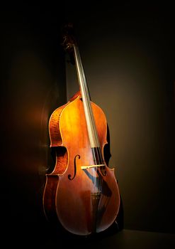 Close-up of a cello, against a black background, Single object only, warm light, front view