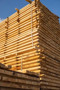 Storage of piles of wooden boards on the sawmill. Boards are stacked in a carpentry shop. Sawing drying and marketing of wood. Pine lumber for furniture production, construction. Lumber Industry