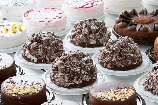 Cake and baking line.Industrial line of cakes. Many beautiful cakes on the table.Multicolored culinary products