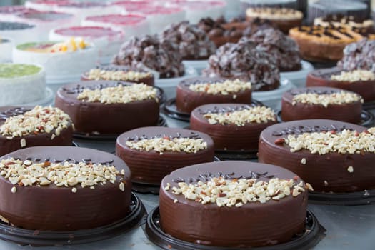 Industrial line of cakes. Many beautiful cakes on the table