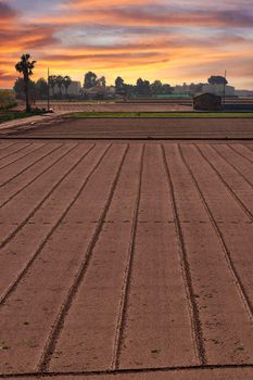 Mediterranean orchard prepared for sowing, brown soil, horizontal lines, dry, ridges.Orange sunset and typical buildings