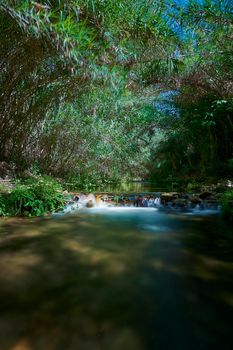 Small waterfall on the river, long exposure, silk effect, reeds, sunny and blue day, mystic and lonely place.