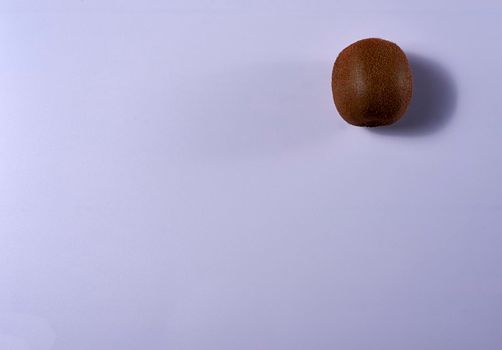 Kiwi on blue background side. unique, bright, clean, empty space.