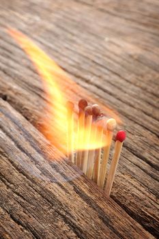 closeup heap of burned wooden matches