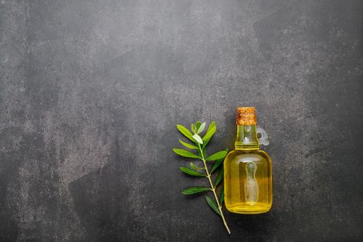 Glass bottle of olive oil and olive branch set up on dark concrete background.