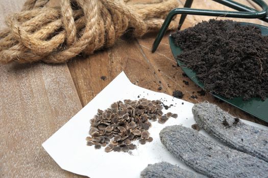 seeds and gardening tools on wooden plank