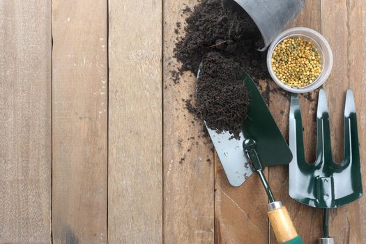 gardening tools on wooden plank background