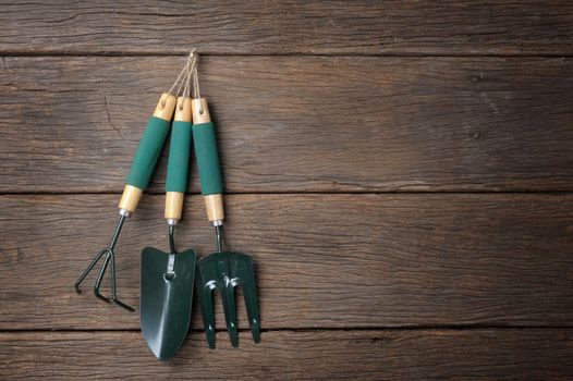 gardening tools hanging on wooden plank background