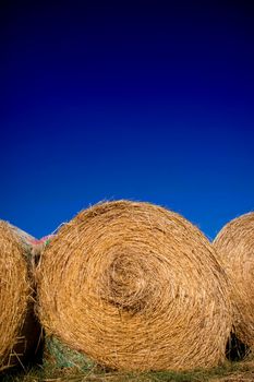 Stubble pressed straw for animals during the winter season