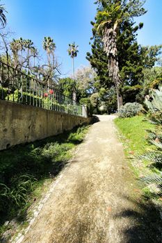 Leafy and green gardens with large trees at the Botanical Garden of Lisbon