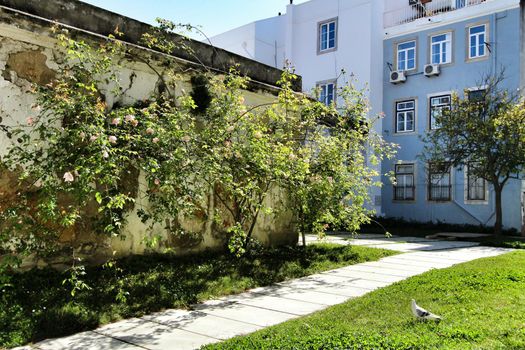 Colorful gardens and tiled facades with vintage streetlight in Lisbon streets in Spring. 