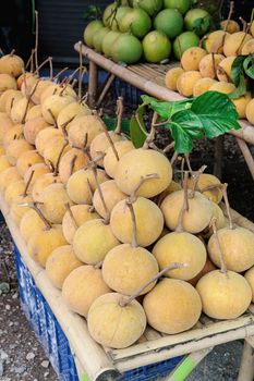 closeup santol in Thailand fruit market
