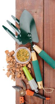 gardening tools on wooden plank background