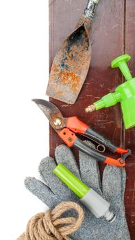 gardening tools on wooden plank background