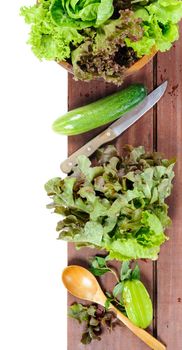 closeup isolate fresh lettuces on wooden plank
