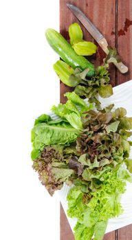 closeup isolate fresh lettuces on wooden plank
