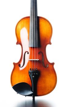 closeup new classical violin on white background