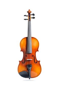 closeup new classical violin on white background