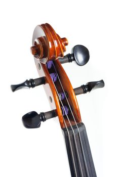 closeup new classical violin on white background