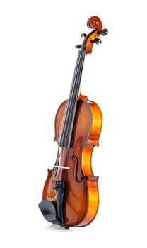 closeup new classical violin on white background