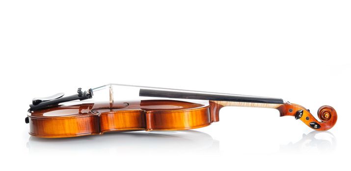 new classical violin on white background template