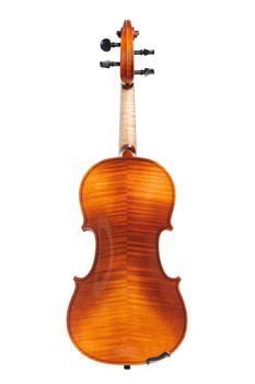 back of new classical violin on white background